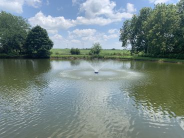 Pond with fountain